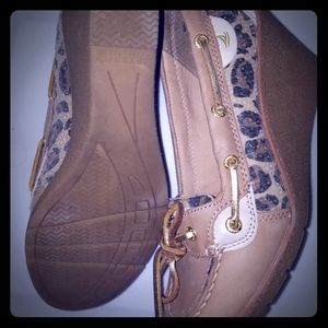 Sperry's wedge